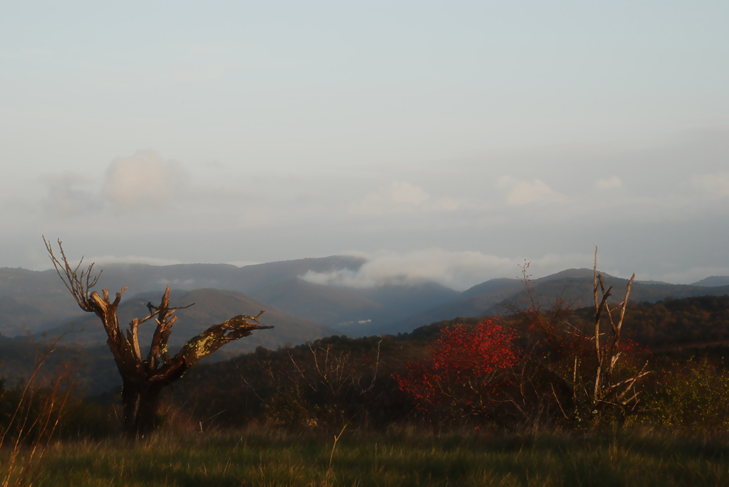 Landscape of Autumn II