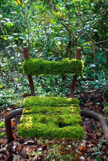La nature finit toujours par reprendre ses droits
