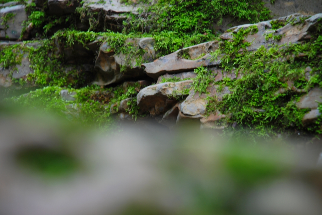 Rocks