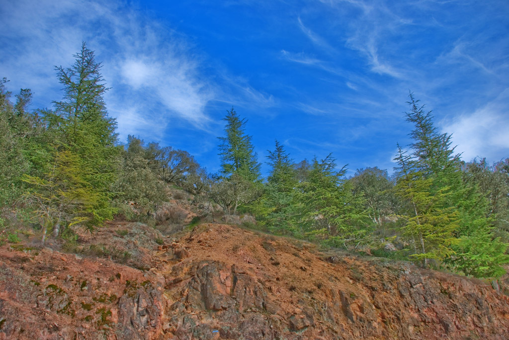 Nature I