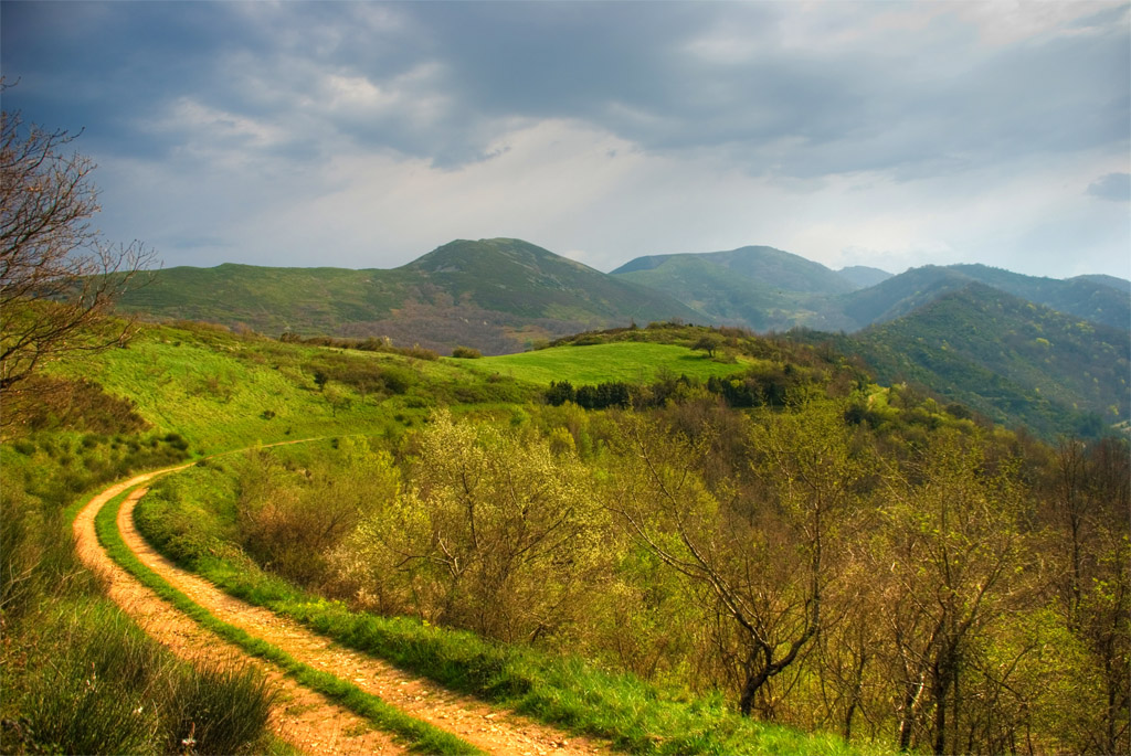 Landscape